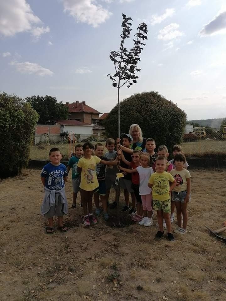 Община Панагюрище отново дари живи дръвчета на всички училища и детски градини